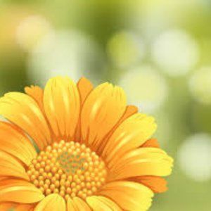 Meet your Posher, Ashlee